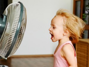 Ventilatoren und Klimaanlagen können bei der derzeitigen Sommerhitze Abhilfe schaffen